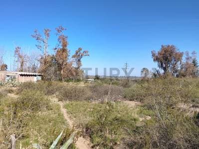 TERRENO EN VENTA BLANCO ENCALADA, LUJAN DE CUYO - 2