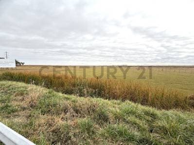 Campo de 8 hectáreas sobre Ruta Nacional 8 con renta publicitaria - 2