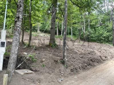 VENTA LOTE SAN MARTIN DE LOS ANDES . BARRIO LOS ROBLES APTO FINANCIACION Y SUBDIVISION. - 2