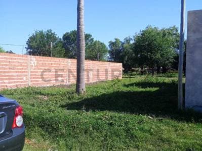 Venta - Terreno - Gessler - 2