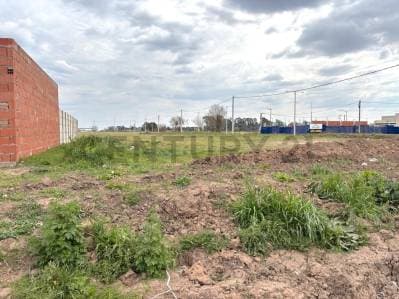 Terreno en muy buena ubicación- VENADO TUERTO - 3