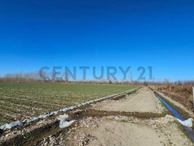 FINCA EN VENTA | 2 HECTÁREAS | TUPUNGATO, MENDOZA - 3