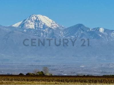 Century 21 López vende Lote en Barrio Privado Tupungato Valley, Valle de Uco, Mendoza - 5