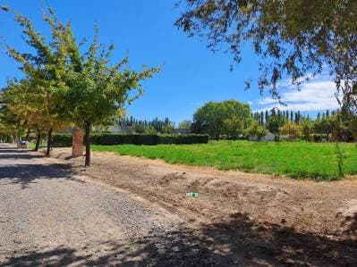 Venta de terreno en Barrio Privado Chacras del Sur - General.Roca - 3