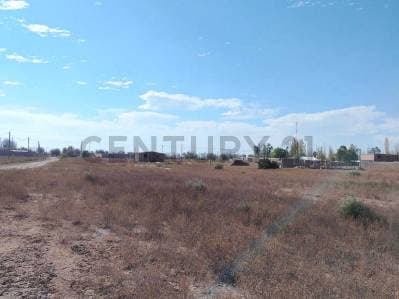 VENTA TERRENO, JOCOLI VIEJO, LAVALLE, MENDOZA - 3