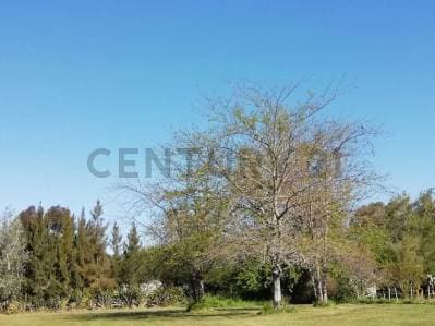 VENTA DE FRACCION 2 LOTES - Principal