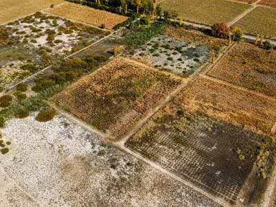 28 HA AGRÍCOLAS - ANGACO - 4