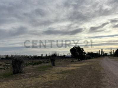 VENTA DE CAMPO DE 2.7 HA EN SAN RAFAEL MENDOZA. ID: 343654 - 3