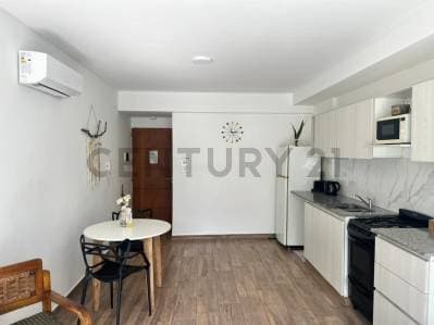 DEPARTAMENTO MONOAMBIENTE SEMIAMOBLADO EN VENTA EN LA PLATA ZONA PLAZA BELGRANO - 5