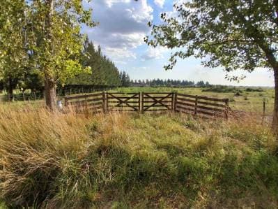 Terreno venta Brandsen Estancia las Malvinas 1 - Principal