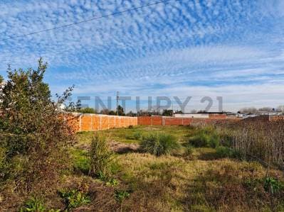 146 y 35 - Lote en venta - La Plata - Principal