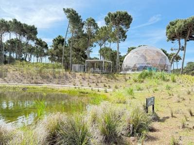 Terreno en Bosques, Pinamar - 2