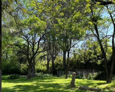 VENTA TERRENO 3084 M2, VILLA ROSA PILAR - 3
