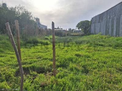 476 entre 5 y 6, City Bell. Lote en venta - 3