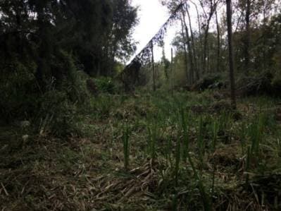 LOTE DE 30000 M2EN VENTA RIO LUJAN Y CANAL ARIAS - 5