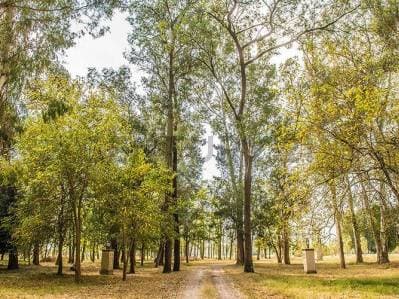 LOTE EN VENTA EN BARRIO VILLA MARIA - SECTOR ARROYITO - 2