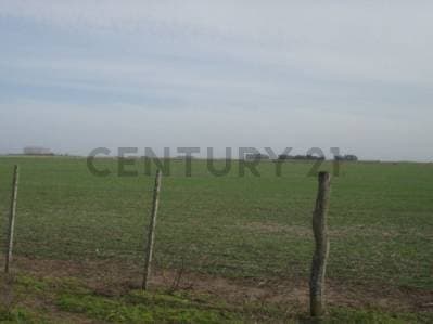 Campo en venta en Chascomús - 4