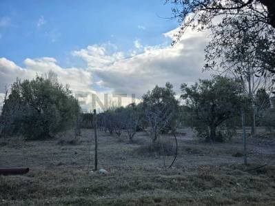 VENTA DE TERRENO BARRIO LA MASIA - 2