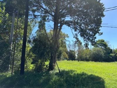 Venta de Lotes en Gorina, La Plata, Quintas de Marquez - 5