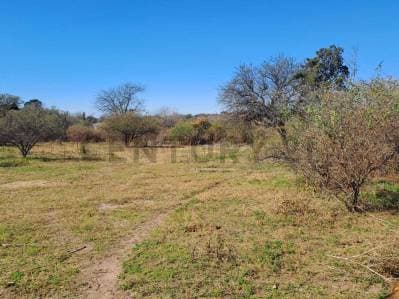 Venta LOTE 300 m2. Barrio El Talita, Salsipuedes - 3