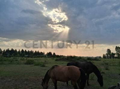 Terreno venta Brandsen Estancia las Malvinas 1 - 2