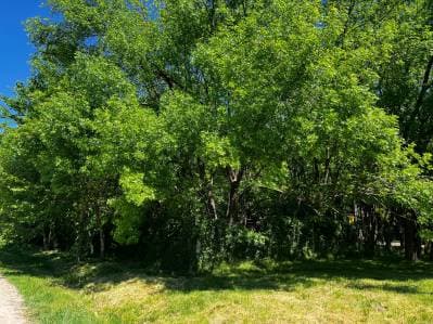 Lote en venta en El Rincon Villa Elisa - Principal