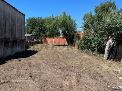 VENTA LOTE RINCON DE MILBERG, TIGRE - 2