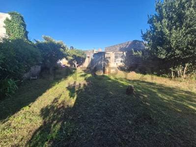 VENTA CASA 2 AMBIENTES CON AMPLIO PATIO Y GALPÓN EN OLAVARRÍA - 4