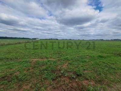 LOTE EN VENTA EN MEGAPROYECTO VILLA DE CAMPO LOS TRES PINOS-GRAL RODRIGUEZ - 5