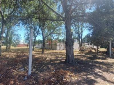 490 entre 137 y 138, Terreno en Venta, Joaquin Gorina.- - 4