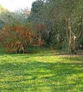 Venta de Lote en Villa Elisa - 2
