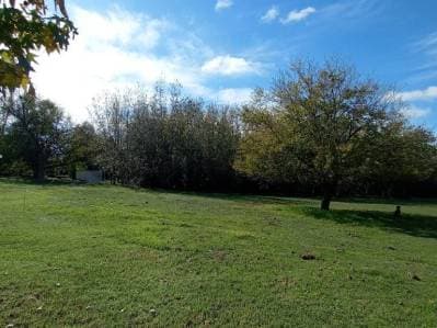 LOTES EN VILLA ELISA - 2