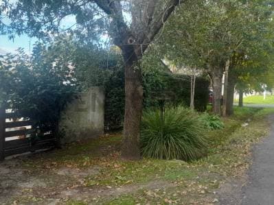 Casa a refacionar en venta - 5