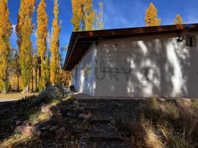 VENTA DE CASA DE UN DORMITORIO EN SAN ALBERTO, USPALLATA, MENDOZA. ID: 341327 - 3