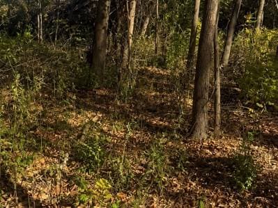 Lote en venta – Excelente oportunidad para inversores - 2