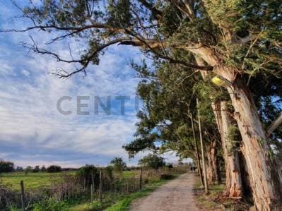 Lotes en Venta en Barrio Semi Cerrado Berisso - 3