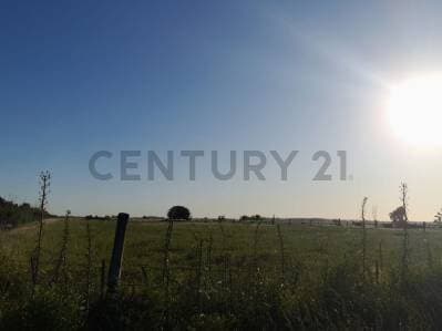 Venta de Lote en Gómez de la Vega, Brandsen - 5