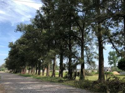 VENTA LOTE EN BARRIO CERRADO EL SOLAR- MARIANO ACOSTA - 4