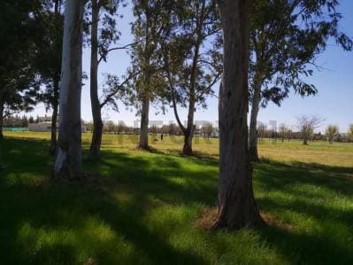 LOTE EN VENTA EN CAMPOS DE ROCA - 4