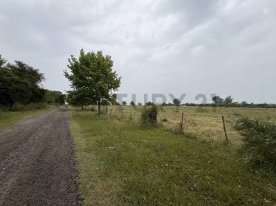 TERRENO EN VENTA EN CASAS DE CAMPO - OLIVEROS - 4