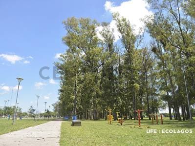 Venta de Lotes en Ecolagos Este | General Lagos - 5