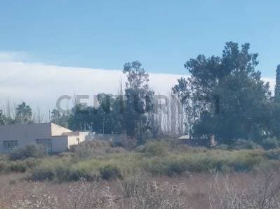 VENTA DE TERRENO EN COLONIA SEGOVIA, GUAYMALLÉN, MENDOZA- ID: 359326 - Principal