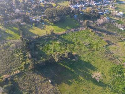 LOTE EN VENTA EN SICARDI HECTAREA EN VILLA GARIBALDI - 4