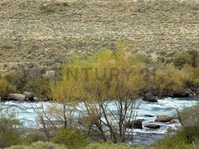 VENTA LOTE RIO CHIMEHUIN . CON ACCESO DIRECTO AL RIO Y VISTAS AL VOLCAN LANIN - 5