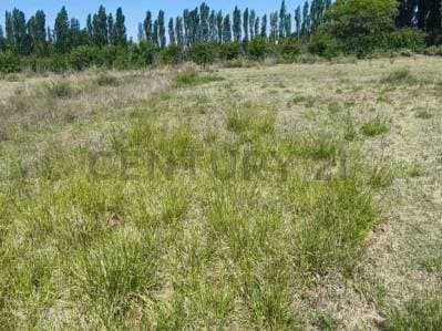 LOTE EN VENTA EXCELENTE UBICACION - 4