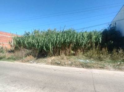 Lote en Venta en Los Hornos - Principal