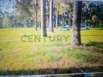 IOPORTUNIDAD.LOTE RODEADO DE PINARES EN BARRIO PRIVADO EXCLUSIVO - 2