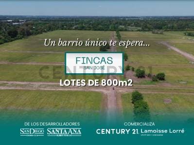 VENTA LOTES 800 MTS2 EN BARRIO CERRADO FINCAS SAN JOSE FRANCISCO ALVAREZ - Principal