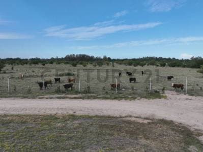 Lote en venta en Berisso - 4