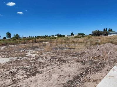 VENTA DE LOTE EN RIVADAVIA, MENDOZA. - 2
